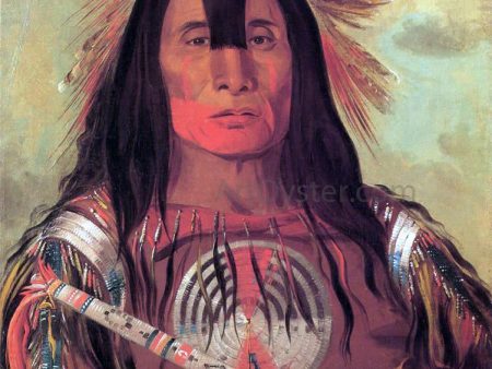 A Buffalo Bull s Back Fat, Head Chief, Blood Tribe by George Catlin - Hand-Painted Oil Painting on Canvas For Sale