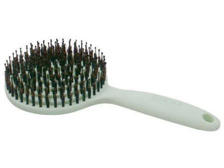 Apvalios formos šepetys plaukams, skirtas plaukų džiovinimui OSOM Professional Lollipop Vent Brush Matte Mint OSOM15486, mėtinis, su nailono spygliukais ir šerno šereliais Online now